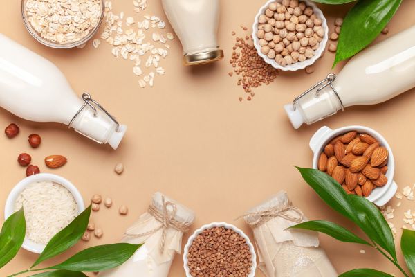 plant-based-milk-manufacturing-solutions-to-a-challenging-process